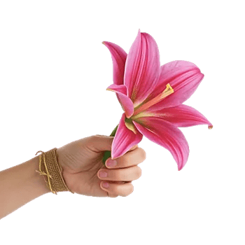 Graceful Lily Display