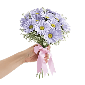 Pastel Blossom Grace