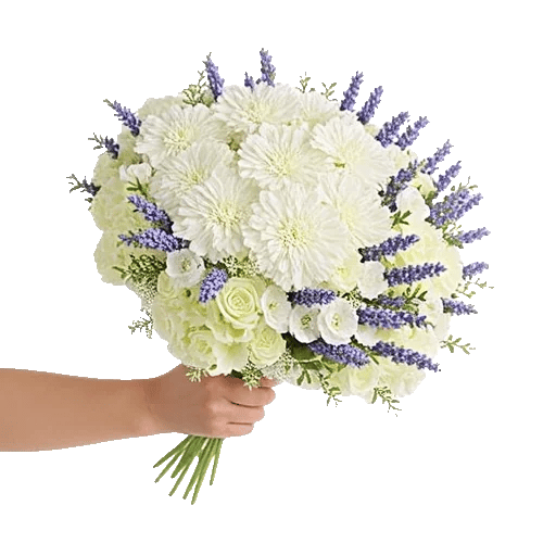 Delicate Petal Cascade