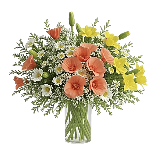 Ivory Blossom Radiance