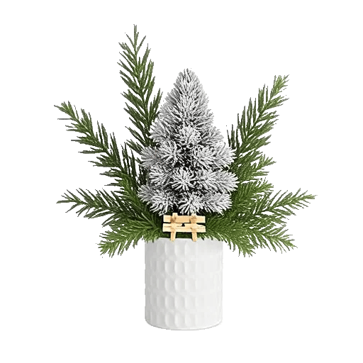 Minimalist White Orchids