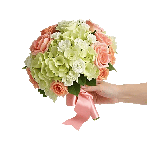 Serene Petal Harmony