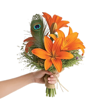 Blossom Glow Symphony