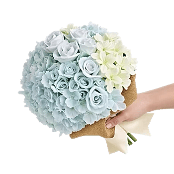 Serene Petal Harmony