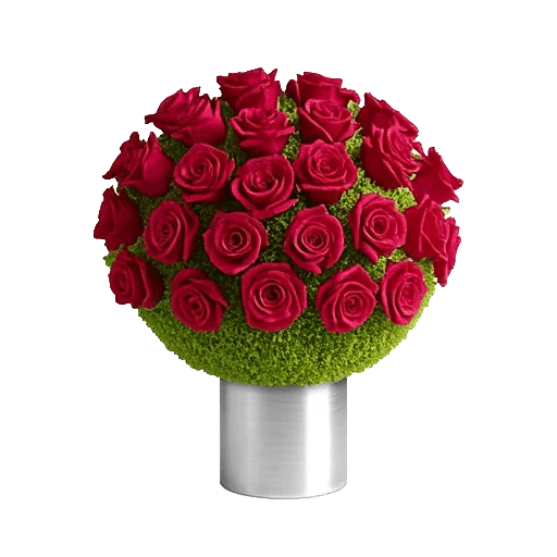 Glistening Rose Garden