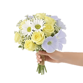 Dewy Morning Blossoms