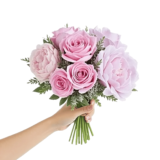 Pastel Pink Roses