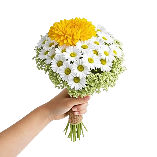 Golden Petal Harmony