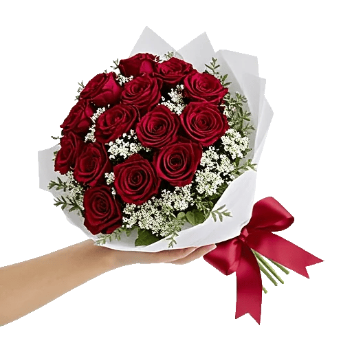 Crimson Rose Elegance
