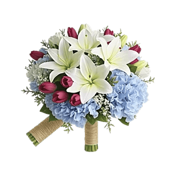 Ivory Blossom Radiance