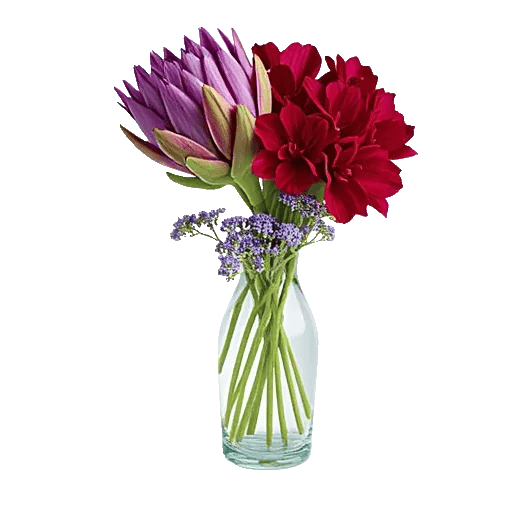 Ivory Blossom Radiance