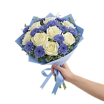 Elegant Blue Roses