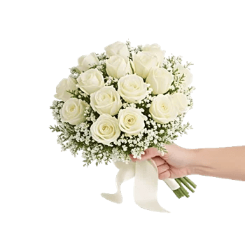 Ivory Garden Grace