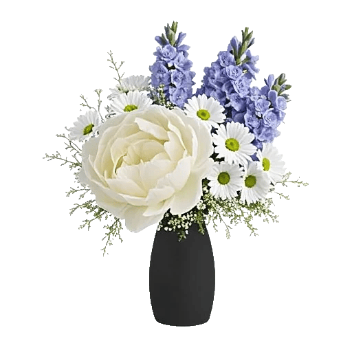 Ivory Blossom Radiance