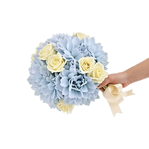 Serene Petal Harmony