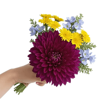 Crimson Blossom Harmony