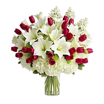 Elegant Calla Lilies