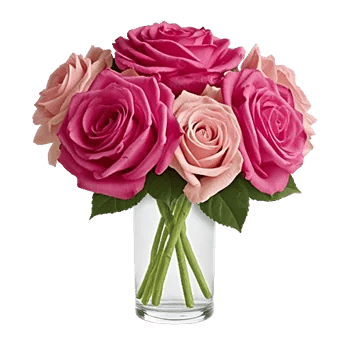 Glistening Rose Garden