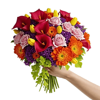 Elegant Calla Lilies