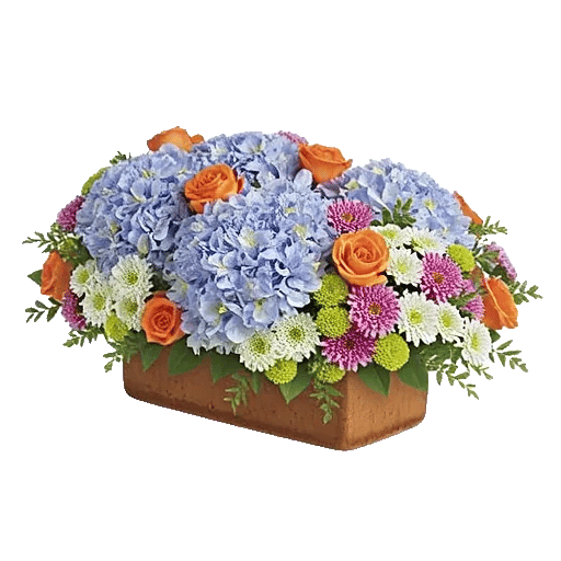 Azure Sky Blooms
