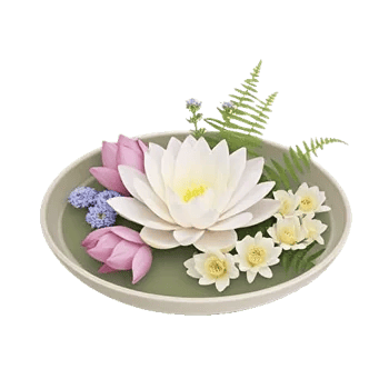 Serenity Orchid Bloom