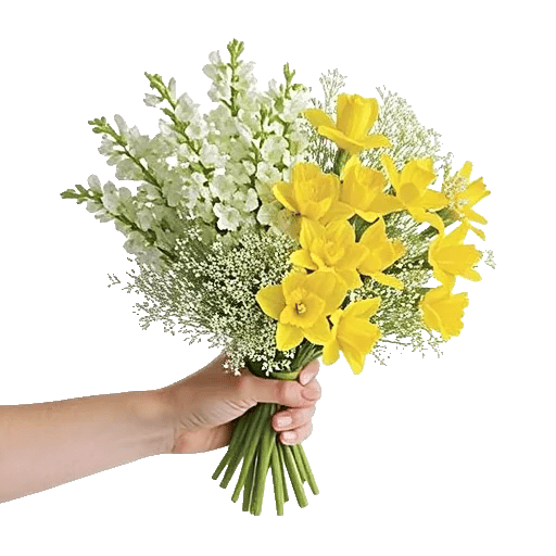 Blossom Harmony Display