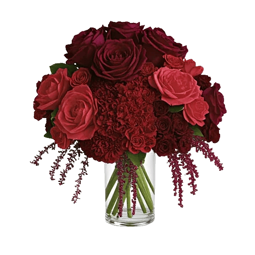 Petal Radiance Bliss