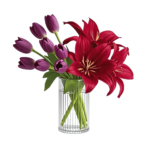 Velvet Tulip Display