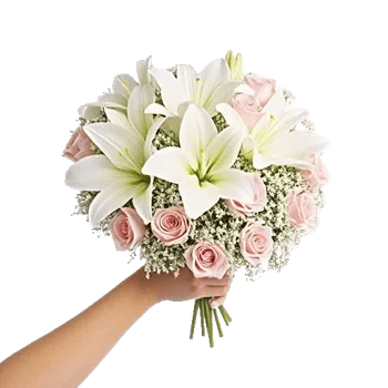 Blossom Harmony Display