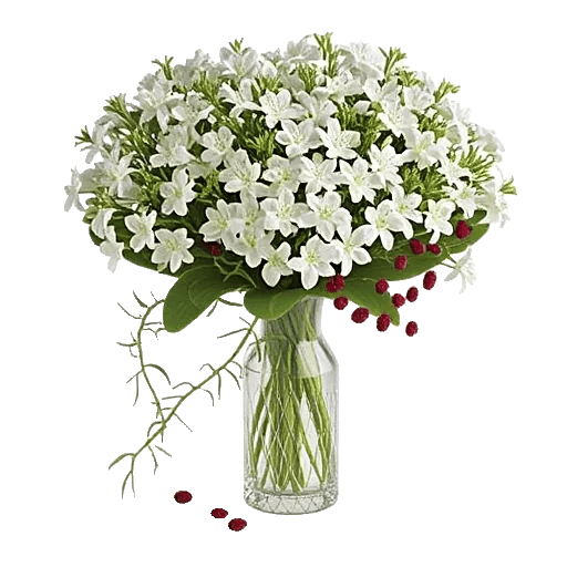 Ivory Blossom Radiance