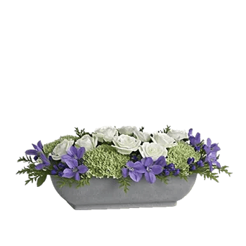 Lavender Bloom Grace