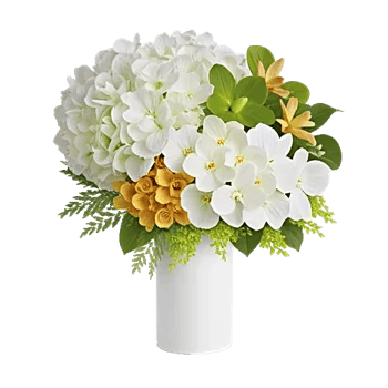 Modern White Orchids