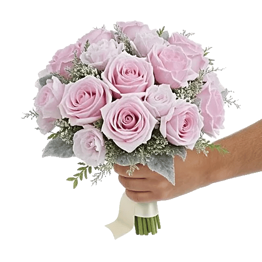 Pastel Pink Roses