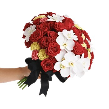 Modern White Orchids