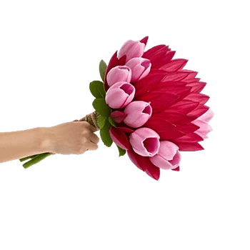 Pastel Pink Roses