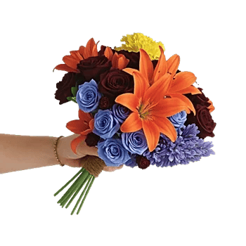 Blossom Harmony Display