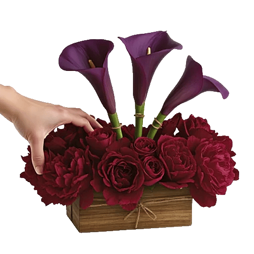 Elegant Calla Lilies