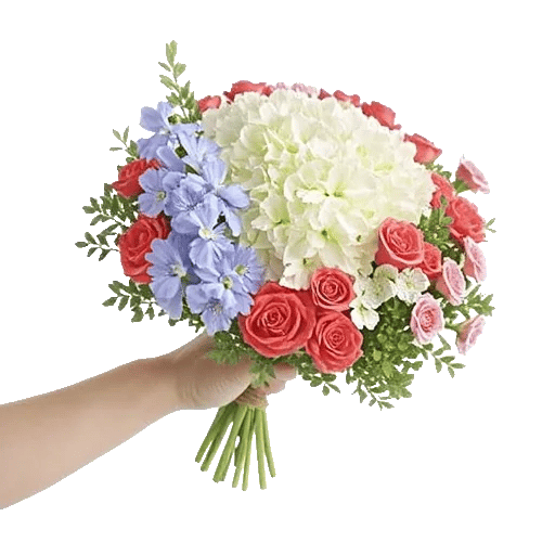 Serene Petal Harmony