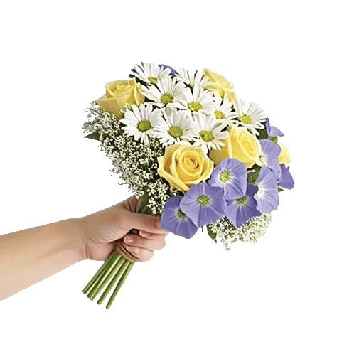 Dewy Morning Blossoms