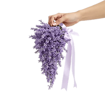 Lavender Bloom Grace