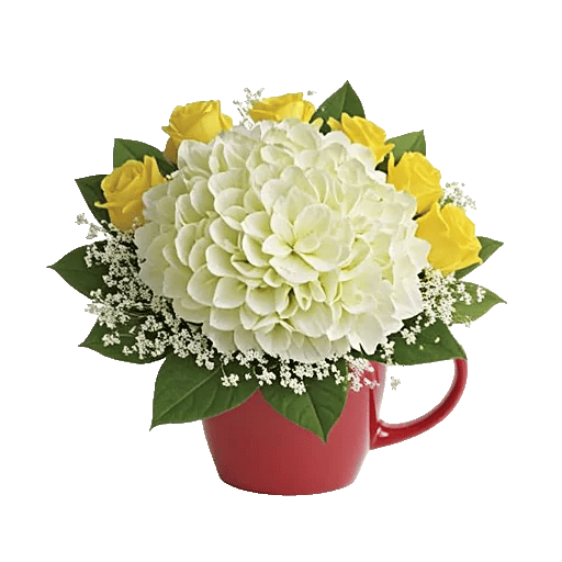 Serene Garden Harmony