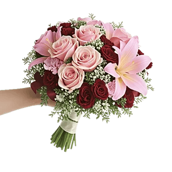 Blushing Rose Symphony