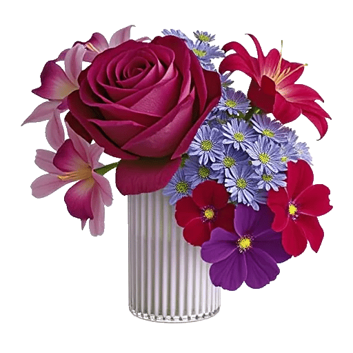 Radiant Rose Symphony