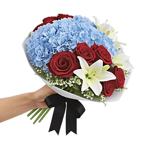 Serene Petal Harmony