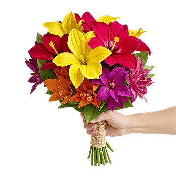 Tropical Sunflower Burst