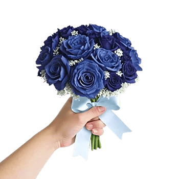 Elegant Blue Roses