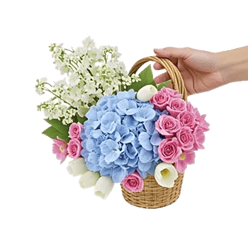 Blossom Harmony Display