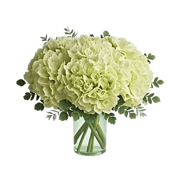 Emerald Bloom Cascade