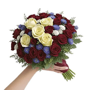 Crimson Rose Elegance