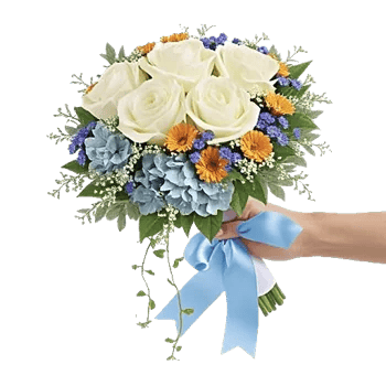 Serene Petal Harmony